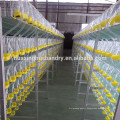 china new design best selling high quality wire mesh quail cage